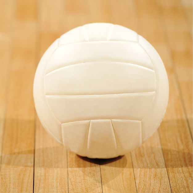 Wallyball