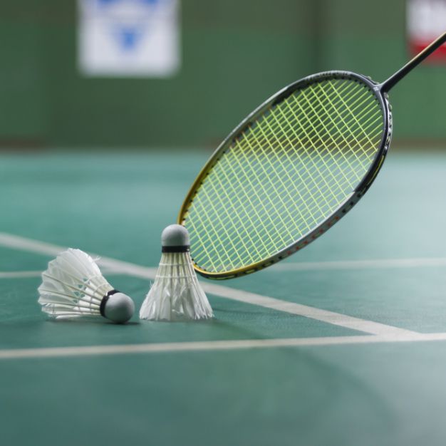 Men's Singles Badminton