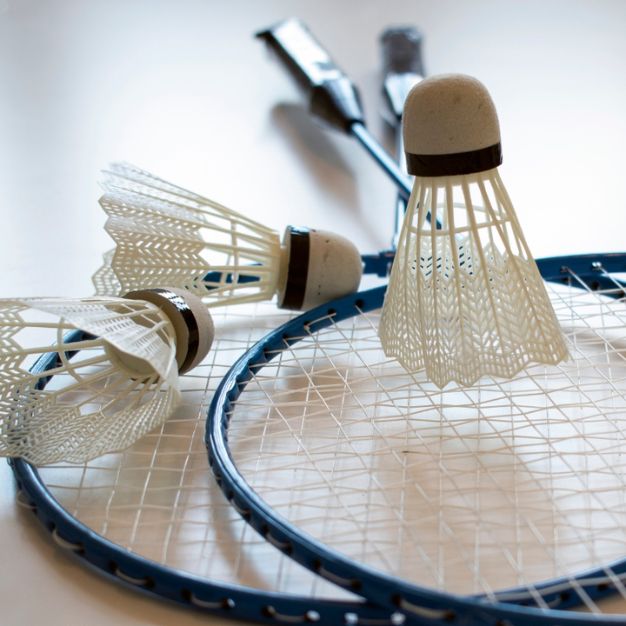 Men's Doubles Badminton