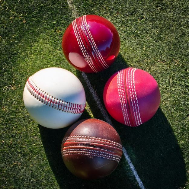 leather cricket balls wholesale India