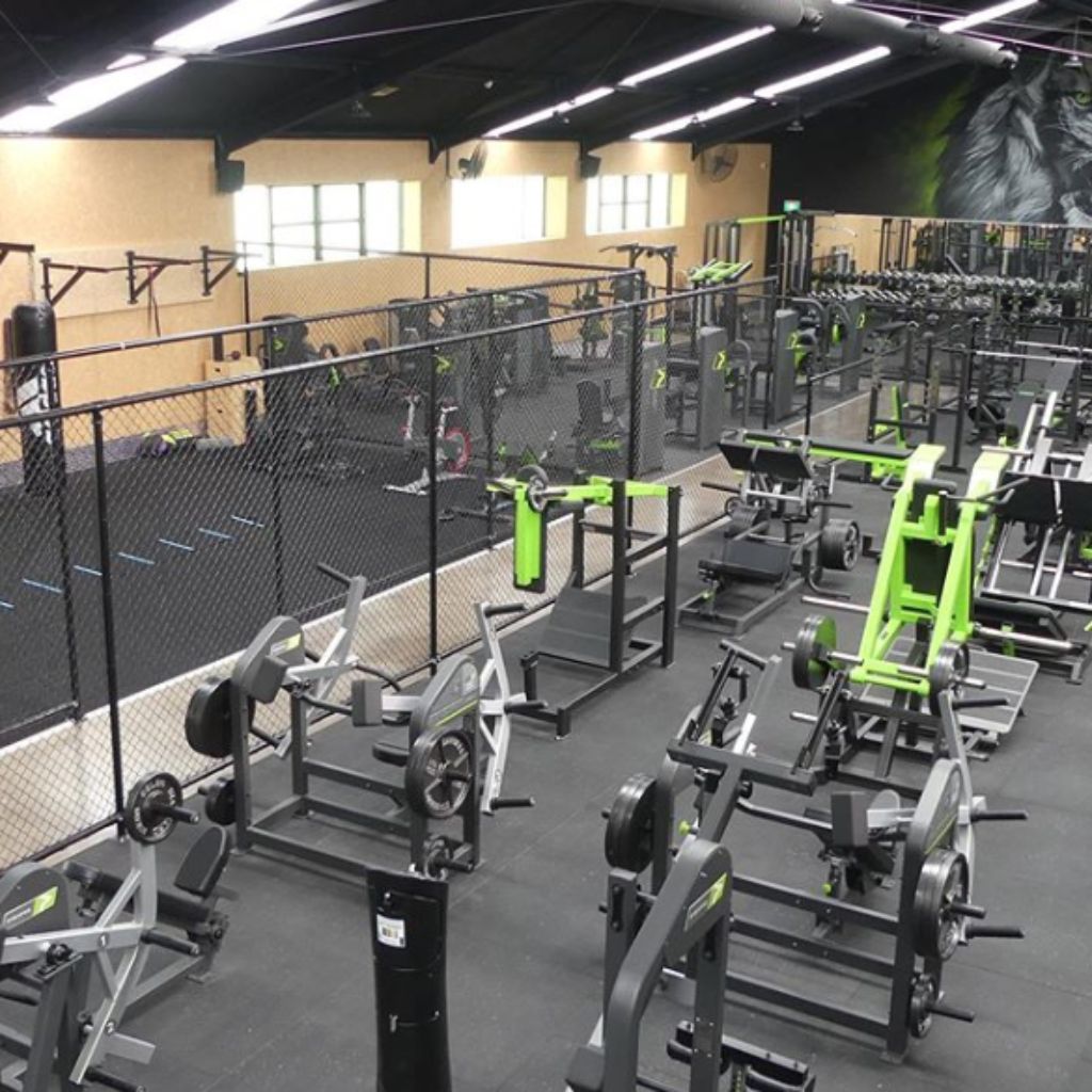 Gym and Health equipment