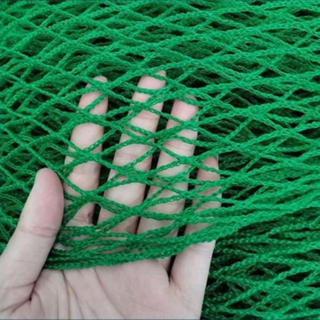 Sports Net