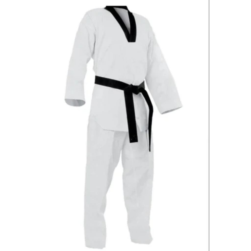 Karate taekwondo