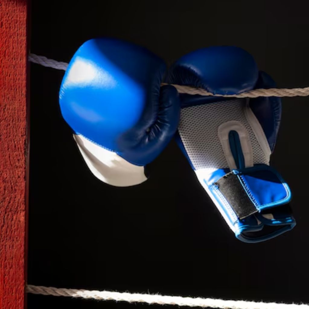 Boxing Kit