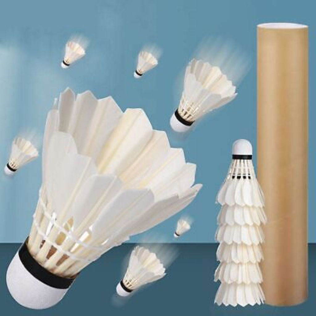 SHUTTLECOCK