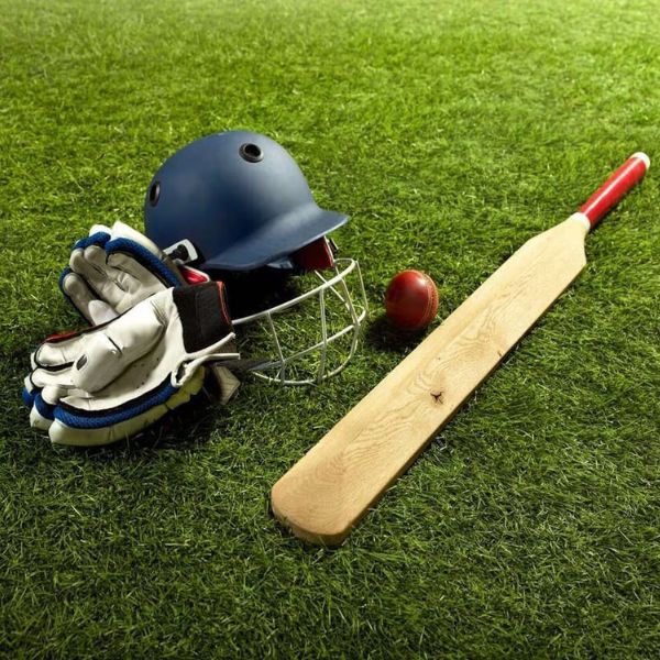leather cricket balls wholesale India