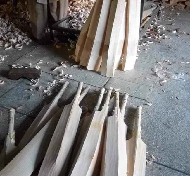 English Willow Cricket Bat Supplier India