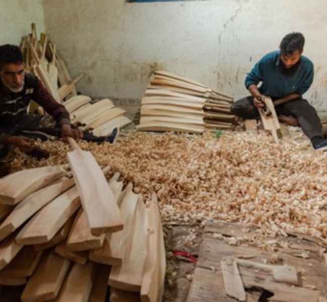 Buy Cricket Bats In Bulk From India