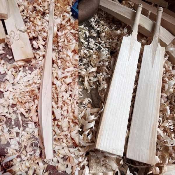 Buy Cricket Bats in Bulk India Buy Cricket Bats in Bulk India