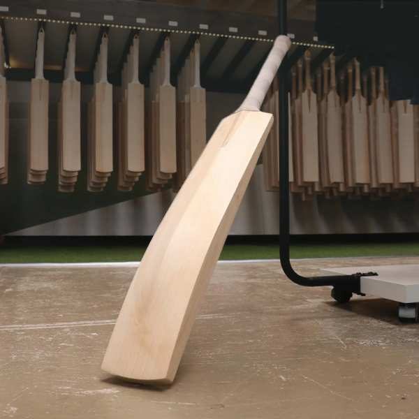 Custom Cricket Bats Suppliers India