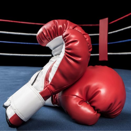 sports equipment exporters India sports equipment exporters India